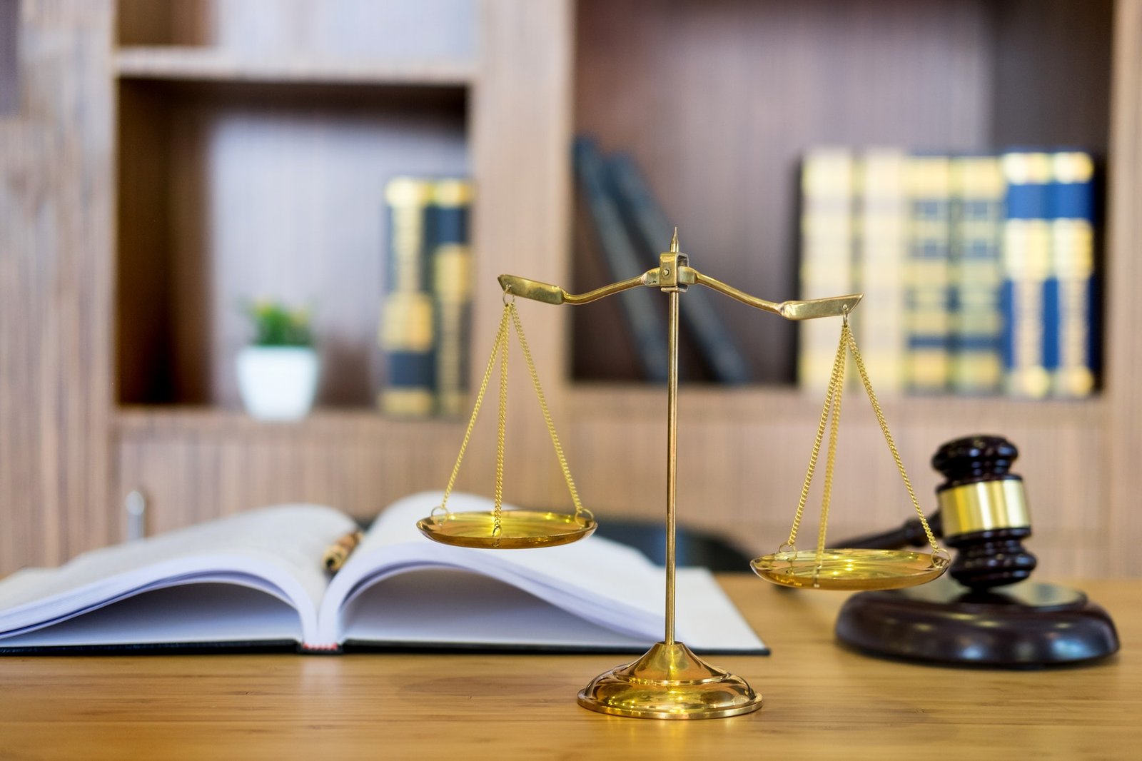 Bail Process Assistance